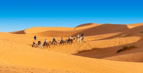 Marocco il Sud e le Oasi